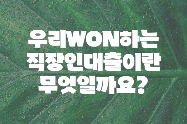 우리WON하는 직장인대출이란 무엇일까요?