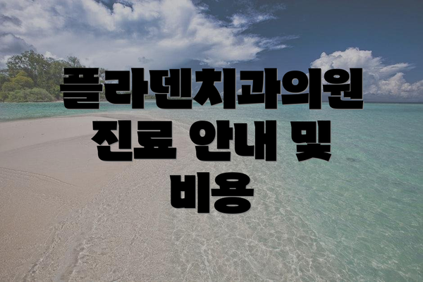 플라덴치과의원 진료 안내 및 비용