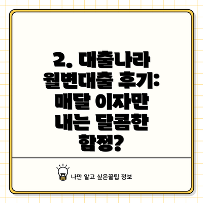 2. 대출나라 월변대출 후기: 매달 이자만 내는 달콤한 함정?
