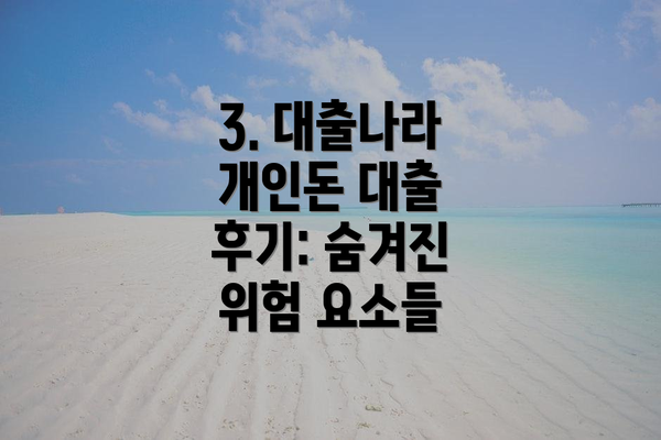 3. 대출나라 개인돈 대출 후기: 숨겨진 위험 요소들