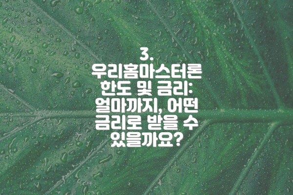 3. 우리홈마스터론 한도 및 금리: 얼마까지, 어떤 금리로 받을 수 있을까요?