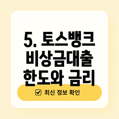 5. 토스뱅크 비상금대출 한도와 금리