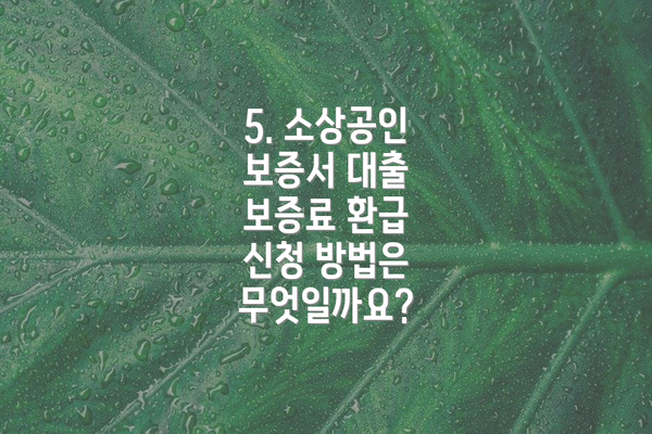 5. 소상공인 보증서 대출 보증료 환급 신청 방법은 무엇일까요?