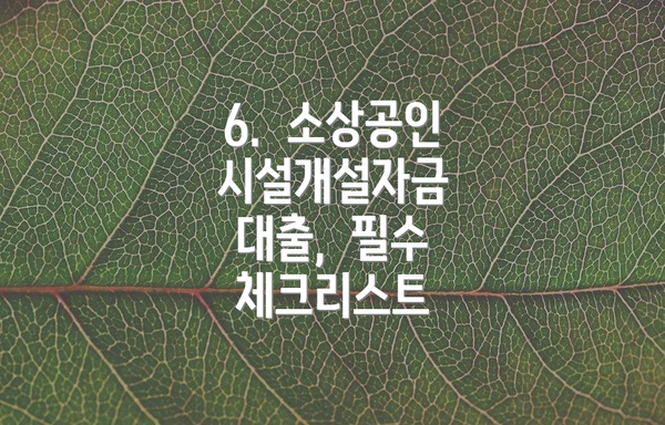 6.  소상공인 시설개설자금 대출,  필수 체크리스트
