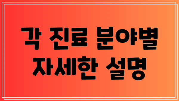 각 진료 분야별 자세한 설명
