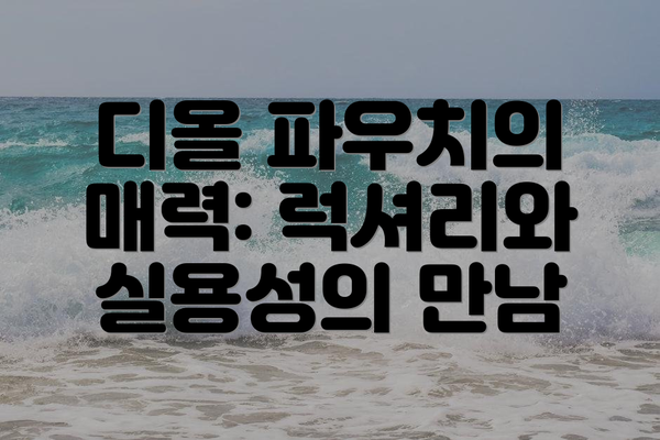 디올 파우치의 매력: 럭셔리와 실용성의 만남