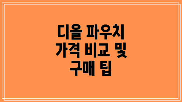 디올 파우치 가격 비교 및 구매 팁