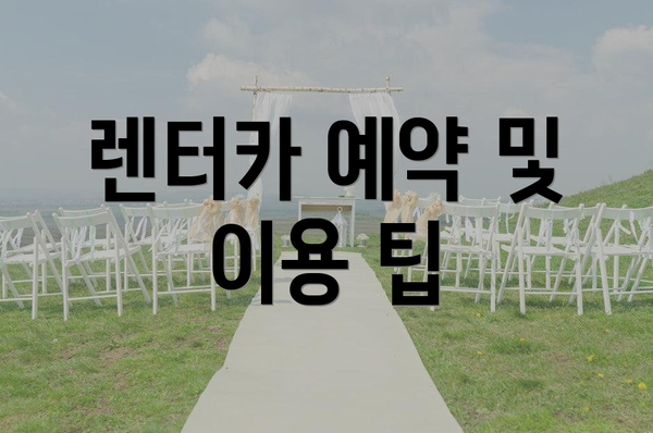 렌터카 예약 및 이용 팁