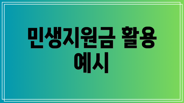 민생지원금 활용 예시