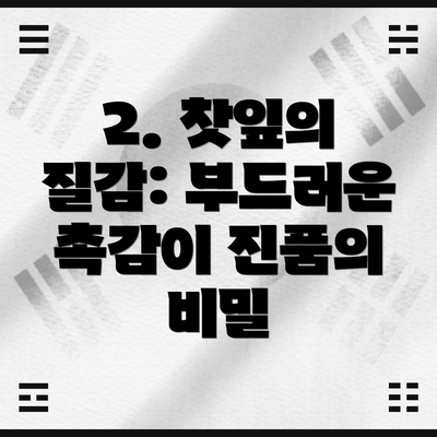 2. 찻잎의 질감: 부드러운 촉감이 진품의 비밀