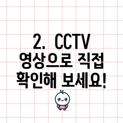 2.  CCTV 영상으로 직접 확인해 보세요!