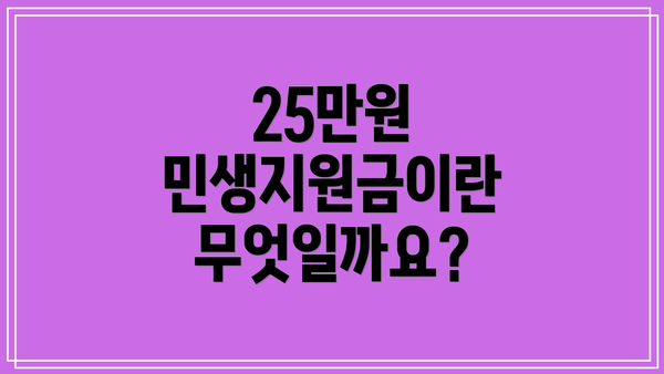 25만원 민생지원금이란 무엇일까요?