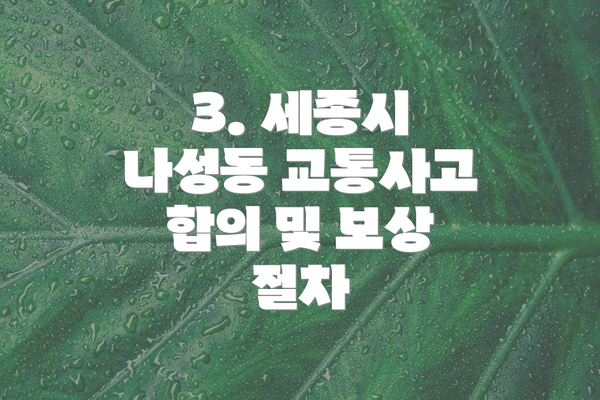 3. 세종시 나성동 교통사고 합의 및 보상 절차