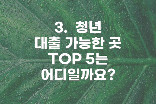 3.  청년 대출 가능한 곳 TOP 5는 어디일까요?