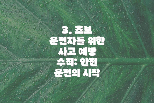 3. 초보 운전자를 위한 사고 예방 수칙: 안전 운전의 시작