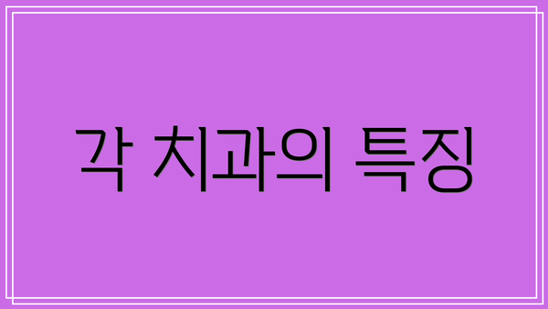 각 치과의 특징