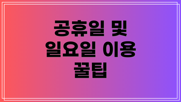 공휴일 및 일요일 이용 꿀팁