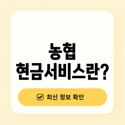 농협 현금서비스란?