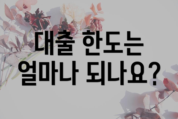 대출 한도는 얼마나 되나요?