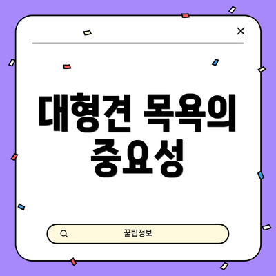 대형견 목욕의 중요성
