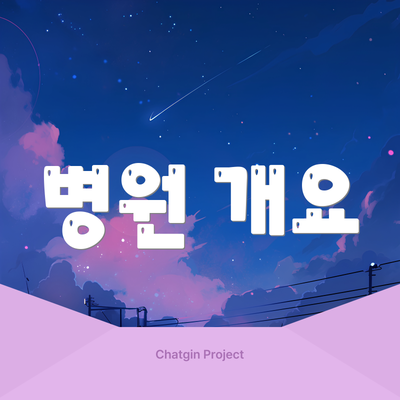 병원 개요