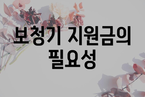 보청기 지원금의 필요성