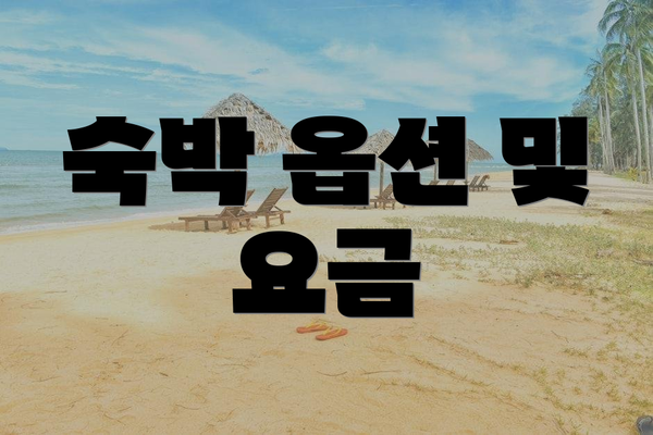 숙박 옵션 및 요금
