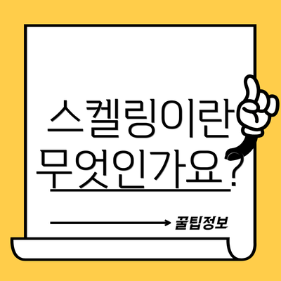 스켈링이란 무엇인가요?