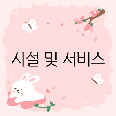 시설 및 서비스