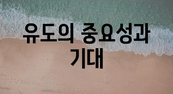 유도의 중요성과 기대