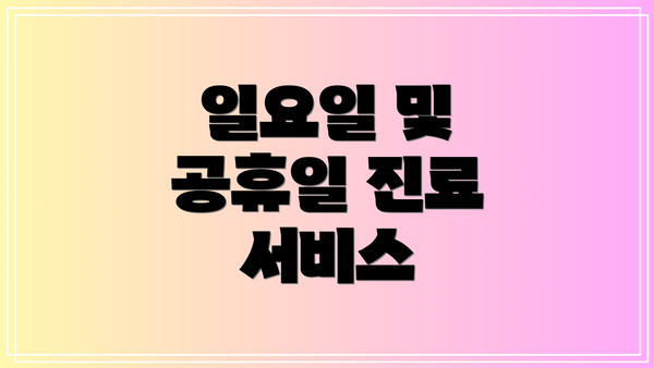 일요일 및 공휴일 진료 서비스