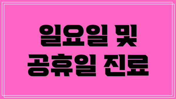 일요일 및 공휴일 진료