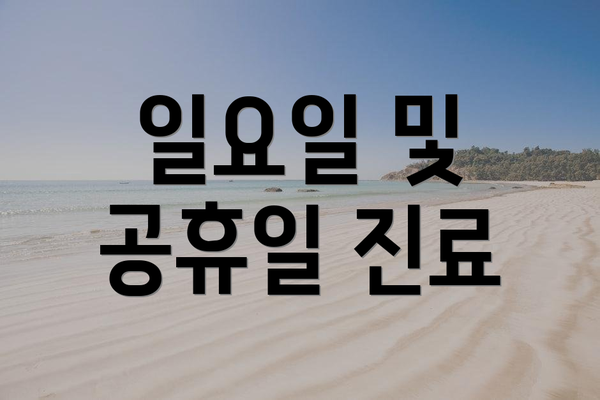 일요일 및 공휴일 진료
