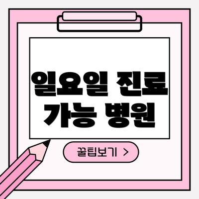 일요일 진료 가능 병원