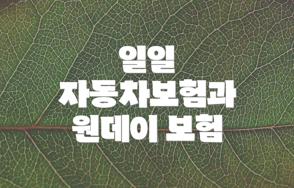 일일 자동차보험과 원데이 보험