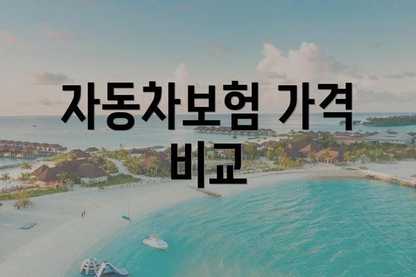 자동차보험 가격 비교