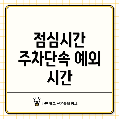 점심시간 주차단속 예외 시간