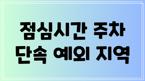 점심시간 주차 단속 예외 지역