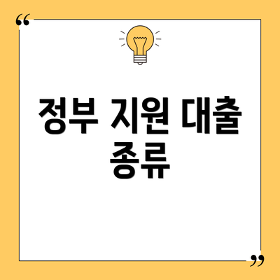 정부 지원 대출 종류