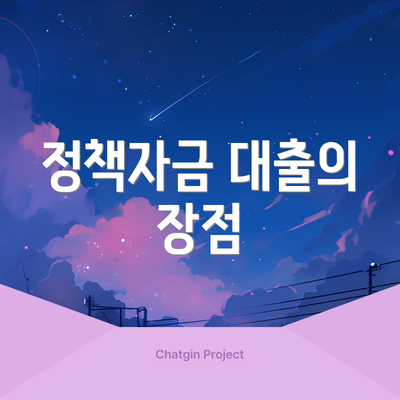 정책자금 대출의 장점