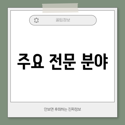주요 전문 분야