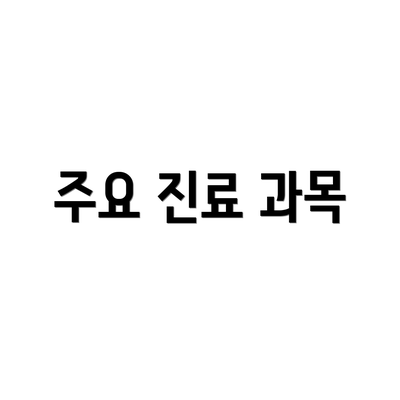 주요 진료 과목