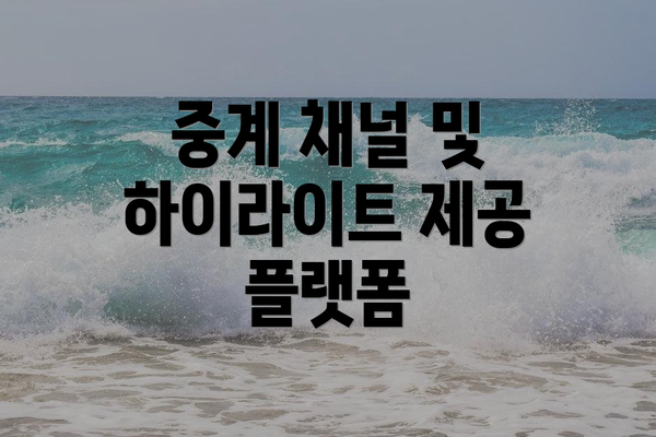 중계 채널 및 하이라이트 제공 플랫폼