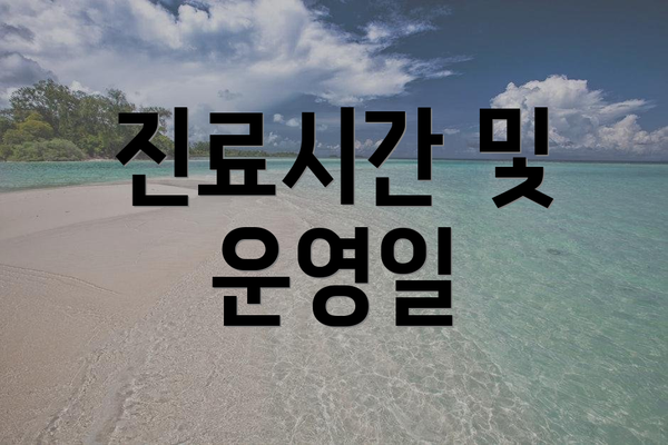 진료시간 및 운영일