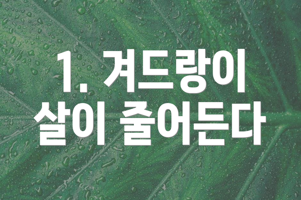 1. 겨드랑이 살이 줄어든다