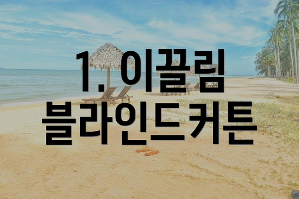 1. 이끌림 블라인드커튼