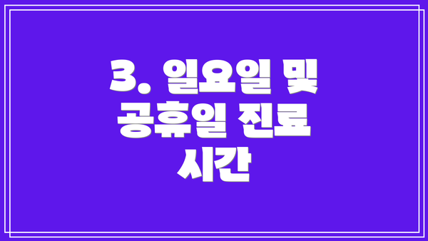 3. 일요일 및 공휴일 진료 시간