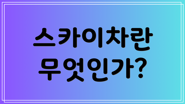 스카이차란 무엇인가?