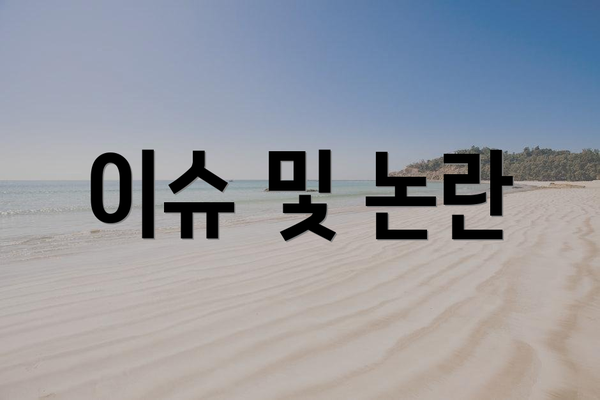 이슈 및 논란
