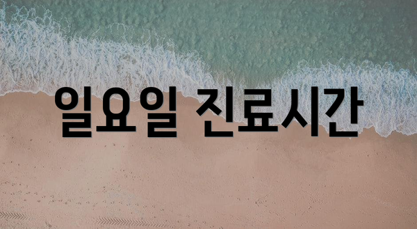 일요일 진료시간